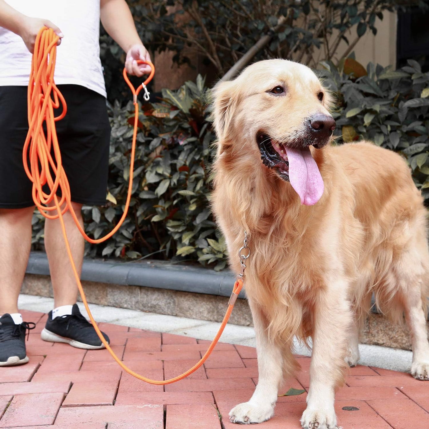 Check Cord Large,Medium Small Dogs/Puppy Obedience Recall Training Agility Lead - 15Ft 30Ft 50Ft Training Leash - Great for Training, Play, Camping, or Backyard Black 50 Feet