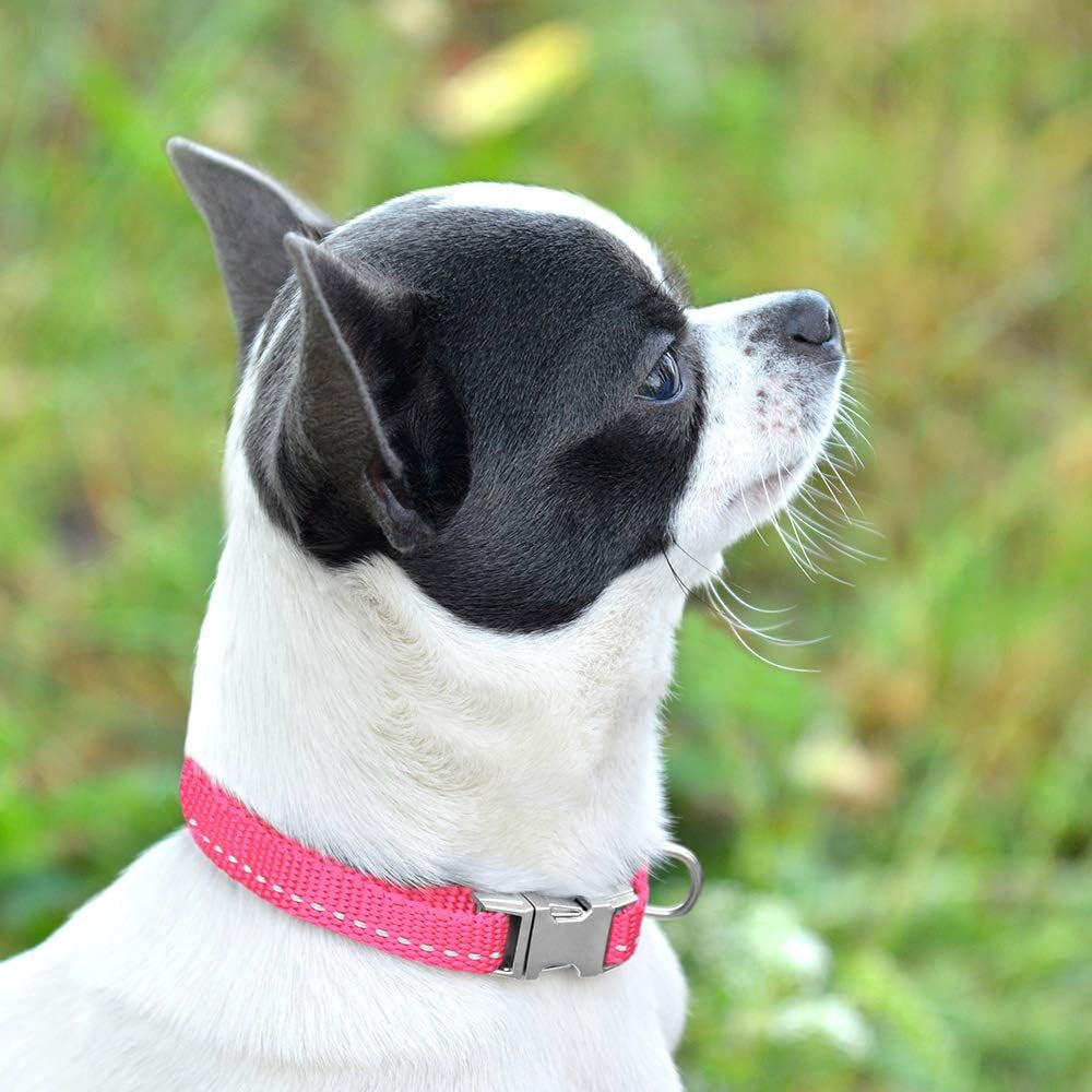 Reflective Dog Collar for a Small, Medium, Large Dog or Puppy with a Quick Release Buckle - Boy and Girl - Nylon Suitable for Swimming (7-11 Inch, Lime Green)