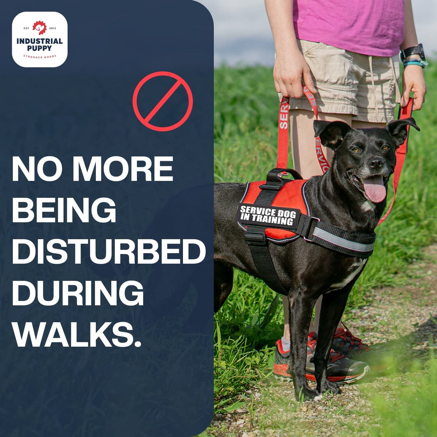 Do Not Pet Patch - Attachable Patches with Hook Backing for Do Not Pet Dog Vest Harness or Collar - Service Dog, Emotional Support, Service Dog in Training, and Therapy Patches