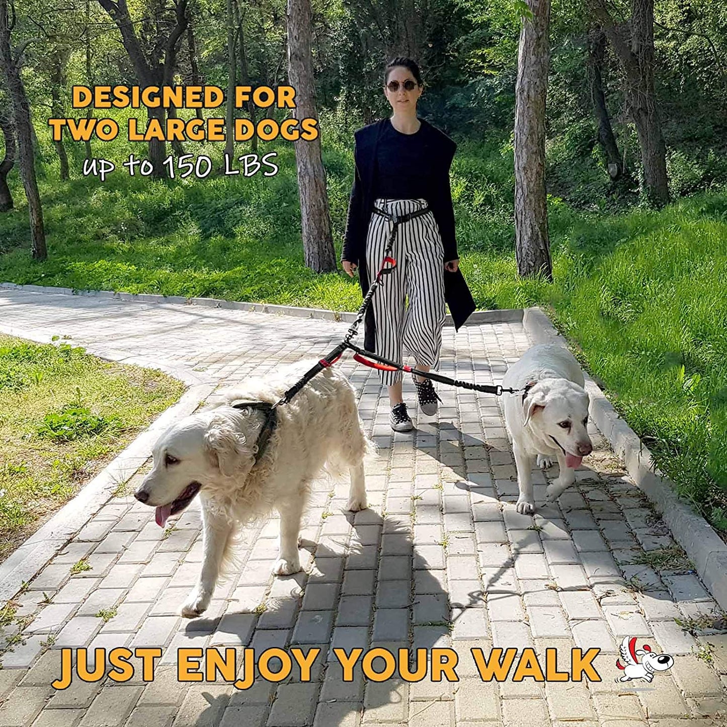 Exquisite Hands Free Double Leash for Two Dogs No Tangle. Premium Quality & Versatile Running Your Two Large Dogs. You Will Absolutely Love This Amazing Dual Dog Leash (Black & Red)
