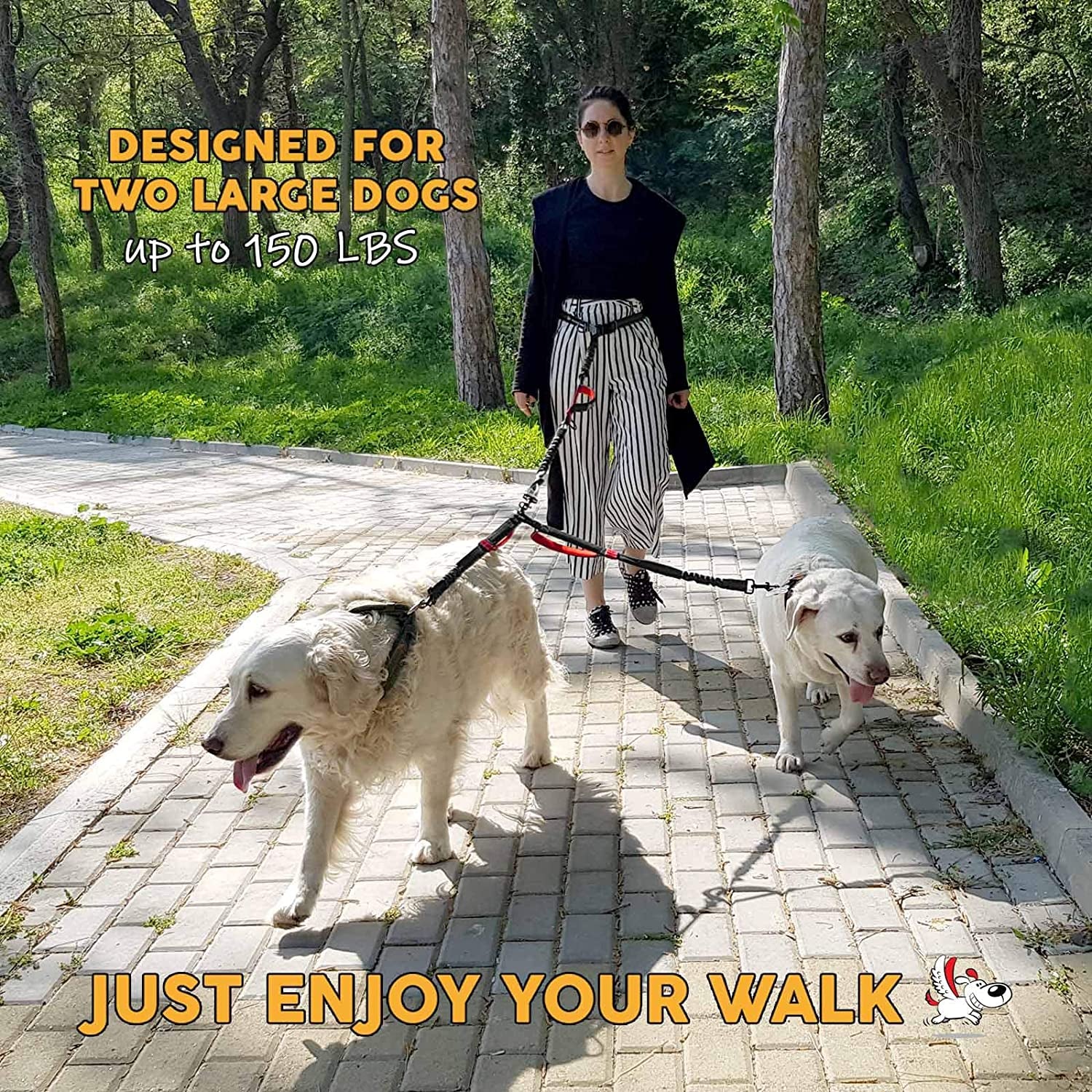 Exquisite Hands Free Double Leash for Two Dogs No Tangle. Premium Quality & Versatile Running Your Two Large Dogs. You Will Absolutely Love This Amazing Dual Dog Leash (Black & Red)