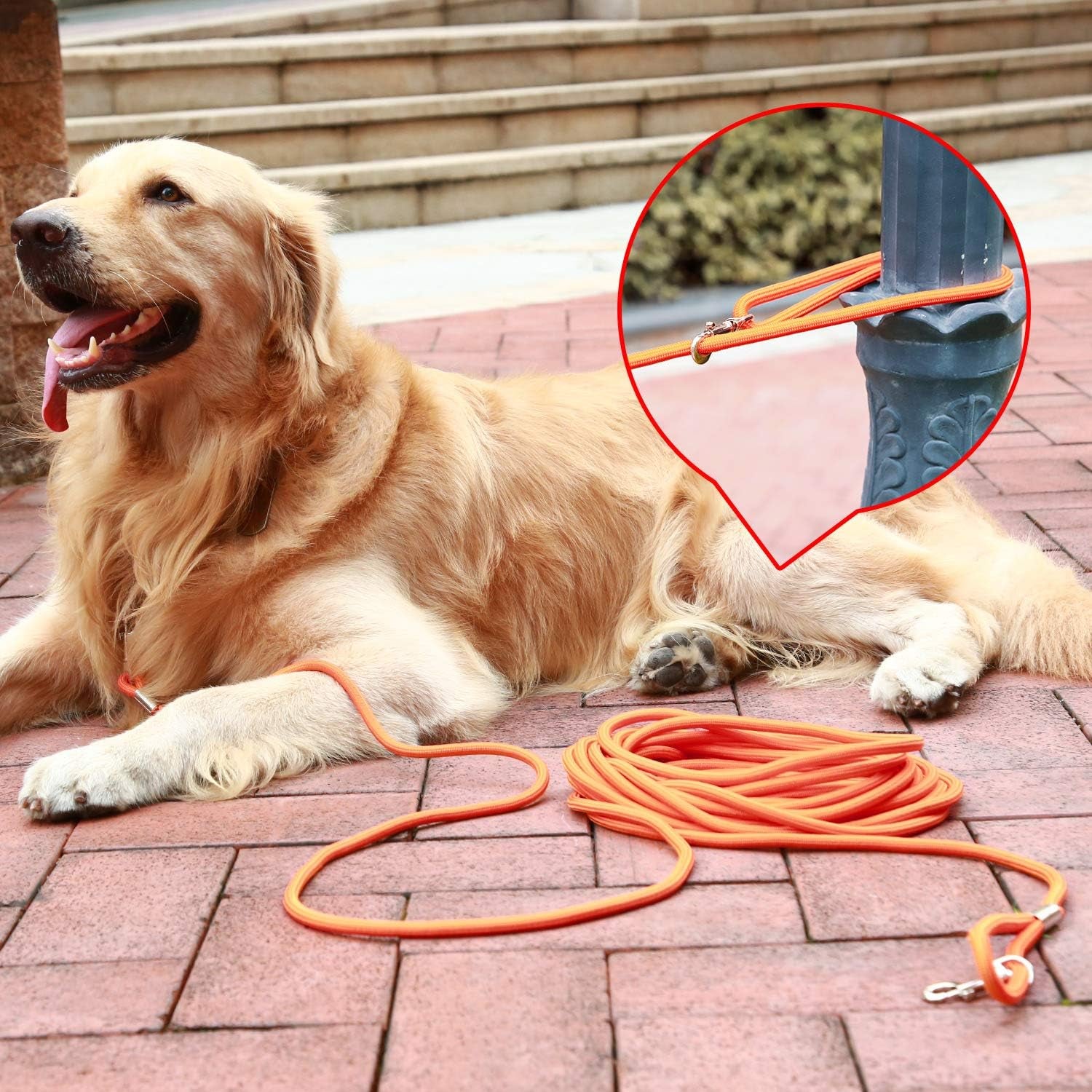 Check Cord Large,Medium Small Dogs/Puppy Obedience Recall Training Agility Lead - 15Ft 30Ft 50Ft Training Leash - Great for Training, Play, Camping, or Backyard Black 50 Feet